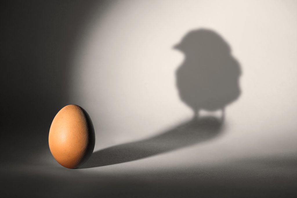 Chick and egg
